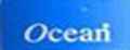 Ocean醒酒器