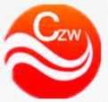 CZW圆柱滚子轴承