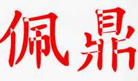 佩鼎品牌标志LOGO