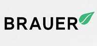 brauer品牌标志LOGO