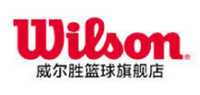 WILSON篮球品牌标志LOGO