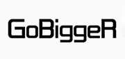 gobigger品牌标志LOGO
