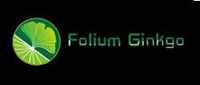 FOLIUM GINKGO潜水手电筒