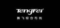 tengfei数码品牌标志LOGO