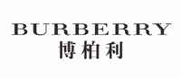 Burberry结婚领带