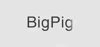 BIGPIG品牌标志LOGO